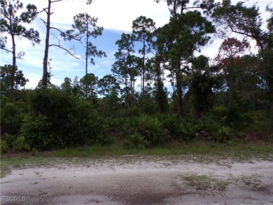 (private lake, pond, creek) Lot For Sale in Punta Gorda Florida