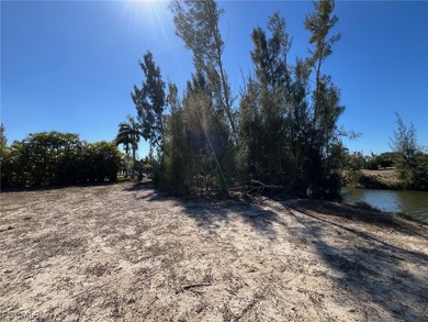 *** ALL ASSESSMENTS PAID !!! *** - BEAUTIFUL freshwater CANAL - photo 5