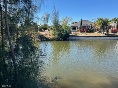 *** ALL ASSESSMENTS PAID !!! *** - BEAUTIFUL freshwater CANAL - photo 6