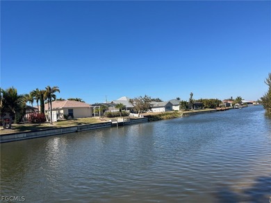 *** ALL ASSESSMENTS PAID !!! *** - BEAUTIFUL freshwater CANAL - photo 7