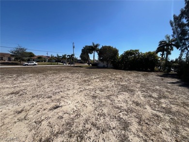 *** ALL ASSESSMENTS PAID !!! *** - BEAUTIFUL freshwater CANAL - photo 8