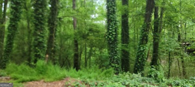 Lake Latimer  Lot For Sale in Kennesaw Georgia