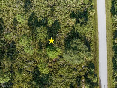 OFFERING SELLER FINANCING! Rare opportunity to own a vacant - photo 4