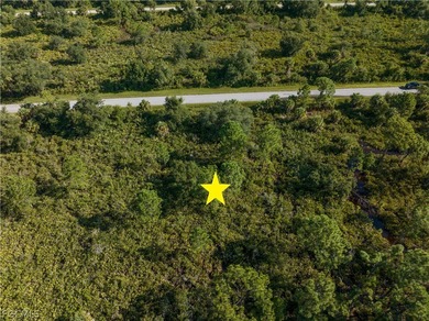 OFFERING SELLER FINANCING! Rare opportunity to own a vacant - photo 5