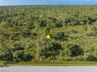 OFFERING SELLER FINANCING! Rare opportunity to own a vacant - photo 8