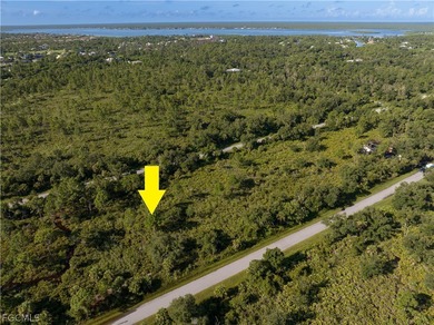 OFFERING SELLER FINANCING! Rare opportunity to own a vacant - photo 9