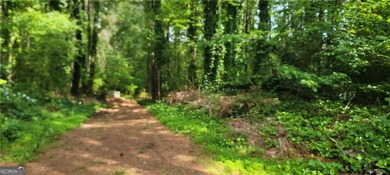 Lake Latimer  Lot For Sale in Kennesaw Georgia