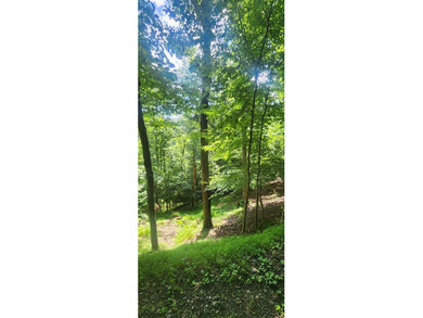 Coosawattee River - Gilmer County Lot For Sale in Ellijay Georgia