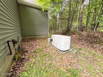 Rare opportunity to own an updated single floor home on a dead - photo 47