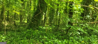 Lake Latimer  Acreage For Sale in Kennesaw Georgia