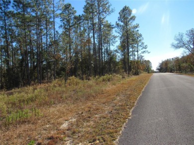 Lake Lot For Sale in Dunnellon, Florida