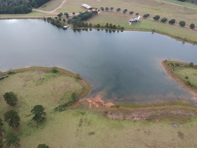 (private lake, pond, creek) Lot For Sale in Hillister Texas
