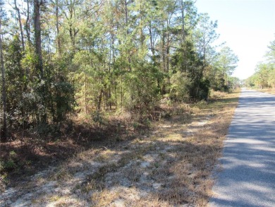 Lake Lot For Sale in Dunnellon, Florida