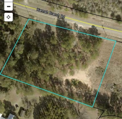 Lake Blackshear Lot For Sale in Cordele Georgia