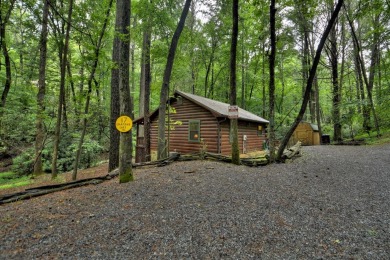 Cherry Log Lake Home Sale Pending in Blue Ridge Georgia