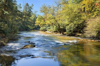 7.59 Acre Chattahoochee Riverfront Estate with Fully Renovated - photo 28