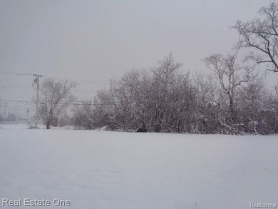 Detroit River Lot For Sale in Detroit Michigan