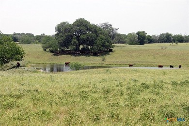 (private lake, pond, coastal) Acreage For Sale in Lockhart Texas