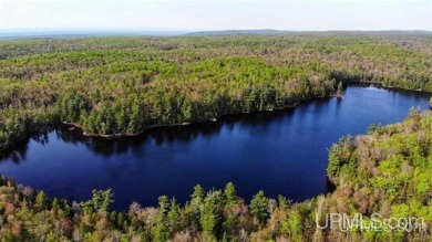 (private lake, pond, creek) Acreage For Sale in L Anse Michigan
