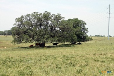 Investment potential. 73 acres really nice and clean with - photo 7