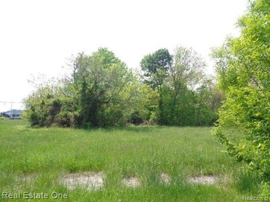 Detroit River Lot For Sale in Detroit Michigan