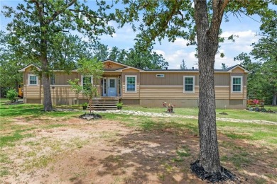 Lake Home For Sale in Somerville, Texas