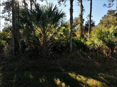 Northport Waterway Lakes and Canals Lot For Sale in North Port Florida