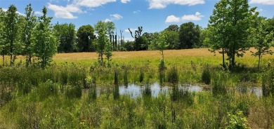 (private lake, pond, creek) Acreage For Sale in Mineola Texas