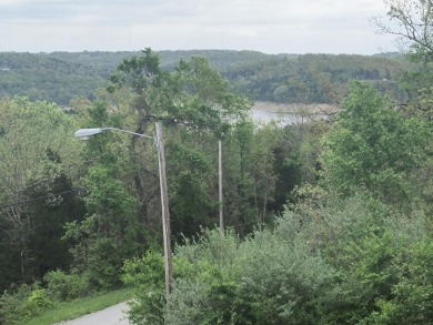 With a view of Bull Shoals Lake! - photo 4
