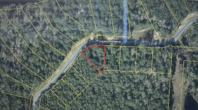 Build your dream home on this beautiful 1/4-acre homesite in the - photo 1