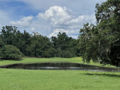 Lake Home For Sale in Dade City, Florida