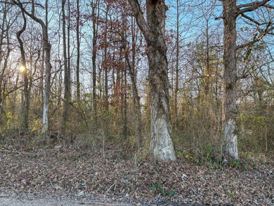 (private lake, pond, creek) Acreage For Sale in Naylor Missouri