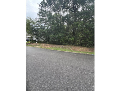 Build your dream home on this beautiful 1/4-acre homesite in the - photo 2