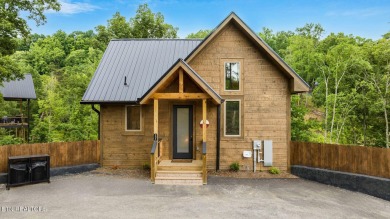 Lake Home For Sale in Sevierville, Tennessee