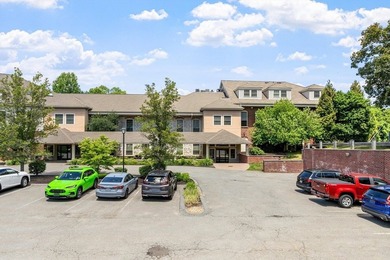 Welcome to 12 Brookside Rd Unit 25, a stunning Westford - photo 26