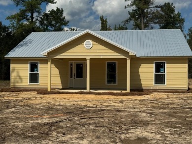 Lake Home For Sale in Vienna, Georgia