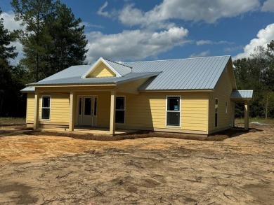 Lake Home For Sale in Vienna, Georgia