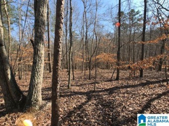 5 Acre Tract - Paradise Near Neely Henry Lake located in St - Lake Acreage For Sale in Ashville, Alabama