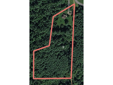 This 3 bedroom, 2 bath house offers over 5 acres of mostly - photo 3