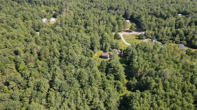 This 3 bedroom, 2 bath house offers over 5 acres of mostly - photo 4