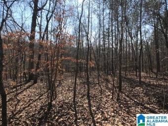 4Acre Tract - Paradise Near Neely Henry Lake located in St - Lake Acreage For Sale in Ashville, Alabama