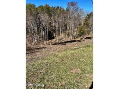 Lake Lot For Sale in Sevierville, Tennessee