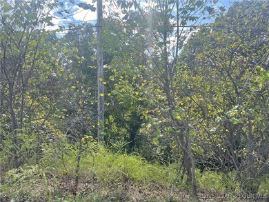 Prime opportunity in Arrowhead Beach! This .95-acre lot offers - photo 16