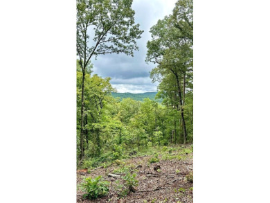 Twin Mountain Lakes Acreage For Sale in Talking Rock Georgia