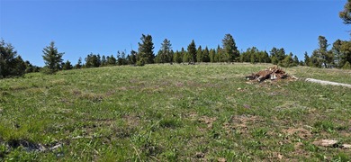 Lake Acreage For Sale in Drummond, Montana