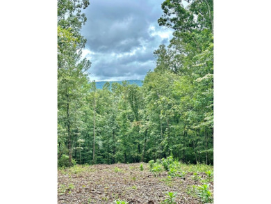 Twin Mountain Lakes Acreage For Sale in Talking Rock Georgia