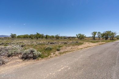 Private 5 acre in Douglas County, Minden Nevada retreat! Build - photo 5