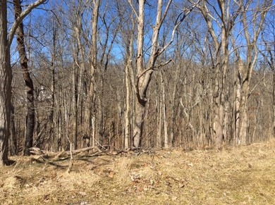 Lake Lot For Sale in Lawrenceburg, Indiana