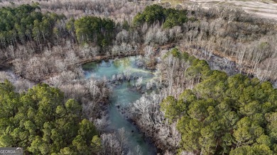 (private lake, pond, coastal) Acreage For Sale in Lyerly Georgia