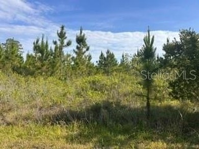 Lake Weohyakapka Lot For Sale in Indian Lake Estates Florida